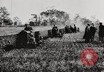 Standbild Bildung von Fordson Traktoren Pflügen eines Feldes United States USA, 1919, aus Sekunde 18 historischem Filmmaterial Videoclip 65675025331