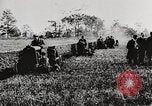 Standbild Bildung von Fordson Traktoren Pflügen eines Feldes United States USA, 1919, aus Sekunde 19 historischem Filmmaterial Videoclip 65675025331