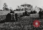 Standbild Bildung von Fordson Traktoren Pflügen eines Feldes United States USA, 1919, aus Sekunde 20 historischem Filmmaterial Videoclip 65675025331