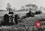 Standbild Bildung von Fordson Traktoren Pflügen eines Feldes United States USA, 1919, aus Sekunde 22 historischem Filmmaterial Videoclip 65675025331