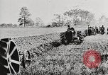 Standbild Bildung von Fordson Traktoren Pflügen eines Feldes United States USA, 1919, aus Sekunde 26 historischem Filmmaterial Videoclip 65675025331