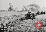 Standbild Bildung von Fordson Traktoren Pflügen eines Feldes United States USA, 1919, aus Sekunde 27 historischem Filmmaterial Videoclip 65675025331