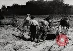 Standbild Männer und Maschinen Gebäude eine konkrete Highway United States USA, 1920, aus Sekunde 7 historischem Filmmaterial Videoclip 65675025339
