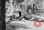 Image of Ford Model T cars in outdoor vacation spots in the U.S.A. United States USA, 1922, second 37 stock footage video 65675025343