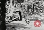 Image of Ford Model T cars in outdoor vacation spots in the U.S.A. United States USA, 1922, second 43 stock footage video 65675025343