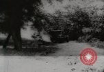 Image of President Harding picnics with Ford, Firestone, & Edison Maryland United States USA, 1921, second 1 stock footage video 65675025345