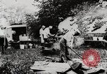 Image of President Harding picnics with Ford, Firestone, & Edison Maryland United States USA, 1921, second 26 stock footage video 65675025345