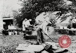 Image of President Harding picnics with Ford, Firestone, & Edison Maryland United States USA, 1921, second 28 stock footage video 65675025345