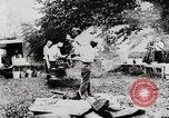 Image of President Harding picnics with Ford, Firestone, & Edison Maryland United States USA, 1921, second 29 stock footage video 65675025345