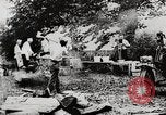 Image of President Harding picnics with Ford, Firestone, & Edison Maryland United States USA, 1921, second 33 stock footage video 65675025345