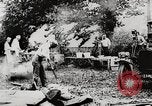 Image of President Harding picnics with Ford, Firestone, & Edison Maryland United States USA, 1921, second 34 stock footage video 65675025345