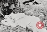 Image of President Harding picnics with Ford, Firestone, & Edison Maryland United States USA, 1921, second 48 stock footage video 65675025345