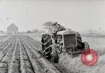 Immagine di Agricoltore campo di aratura con trattore Fordson United States USA, 1920, secondo 32 filmato di repertorio 65675025346