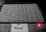 Image colis Croix-Rouge Mindanao Philippines, 1944, de la seconde 39 séquences d'archives historiques vidéo 65675025362