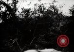 Image of Battle for Peleliu Peleliu Palau Islands, 1944, second 10 stock footage video 65675025365