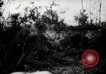 Image of Battle for Peleliu Peleliu Palau Islands, 1944, second 11 stock footage video 65675025365