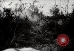 Image of Battle for Peleliu Peleliu Palau Islands, 1944, second 13 stock footage video 65675025365
