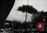 Image of Battle for Peleliu Peleliu Palau Islands, 1944, second 19 stock footage video 65675025365