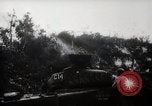 Image of Battle for Peleliu Peleliu Palau Islands, 1944, second 23 stock footage video 65675025365
