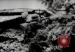 Image of Battle for Peleliu Peleliu Palau Islands, 1944, second 31 stock footage video 65675025365
