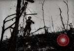 Image of Battle for Peleliu Peleliu Palau Islands, 1944, second 37 stock footage video 65675025365