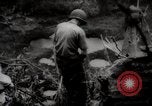 Image of Battle for Peleliu Peleliu Palau Islands, 1944, second 43 stock footage video 65675025365