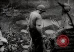 Image of Battle for Peleliu Peleliu Palau Islands, 1944, second 44 stock footage video 65675025365