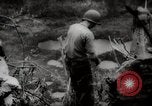 Image of Battle for Peleliu Peleliu Palau Islands, 1944, second 46 stock footage video 65675025365