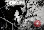 Image of Battle for Peleliu Peleliu Palau Islands, 1944, second 48 stock footage video 65675025365