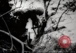 Image of Battle for Peleliu Peleliu Palau Islands, 1944, second 49 stock footage video 65675025365
