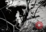 Image of Battle for Peleliu Peleliu Palau Islands, 1944, second 50 stock footage video 65675025365