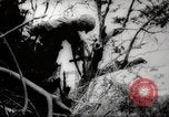 Image of Battle for Peleliu Peleliu Palau Islands, 1944, second 51 stock footage video 65675025365
