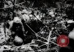 Image of Battle for Peleliu Peleliu Palau Islands, 1944, second 52 stock footage video 65675025365