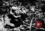 Image of Battle for Peleliu Peleliu Palau Islands, 1944, second 54 stock footage video 65675025365