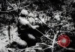 Image of Battle for Peleliu Peleliu Palau Islands, 1944, second 55 stock footage video 65675025365