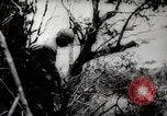 Image of Battle for Peleliu Peleliu Palau Islands, 1944, second 56 stock footage video 65675025365