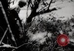 Image of Battle for Peleliu Peleliu Palau Islands, 1944, second 58 stock footage video 65675025365