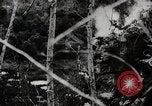 Image of Battle for Peleliu Peleliu Palau Islands, 1944, second 59 stock footage video 65675025365