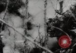Image of Battle for Peleliu Peleliu Palau Islands, 1944, second 60 stock footage video 65675025365