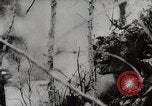 Image of Battle for Peleliu Peleliu Palau Islands, 1944, second 61 stock footage video 65675025365