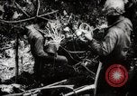 Image of Battle for Peleliu Peleliu Palau Islands, 1944, second 62 stock footage video 65675025365