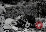 Image of Allied armies break Gothic line Italy, 1944, second 29 stock footage video 65675025366