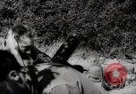 Image of Allied armies break Gothic line Italy, 1944, second 32 stock footage video 65675025366