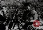 Image of Allied armies break Gothic line Italy, 1944, second 43 stock footage video 65675025366