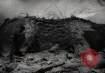 Image of Allied armies break Gothic line Italy, 1944, second 59 stock footage video 65675025366