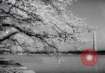 Image of US service women Washington DC USA, 1944, second 30 stock footage video 65675025369