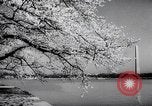 Image of US service women Washington DC USA, 1944, second 31 stock footage video 65675025369