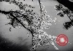 Image of US service women Washington DC USA, 1944, second 33 stock footage video 65675025369