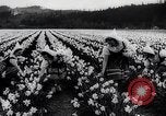 Image of US service women Washington DC USA, 1944, second 45 stock footage video 65675025369