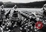 Image of US service women Washington DC USA, 1944, second 47 stock footage video 65675025369